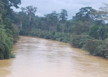 44-year-old man kills himself after he heard rumours that his wife was cheating on him