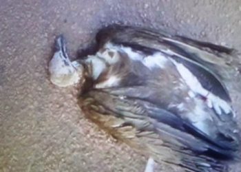 Pastor banished from Bechem for saying he will not allow witches to camp there