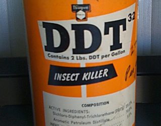 27-year old woman in critical condition after drinking DDT at Race Course in Kumasi