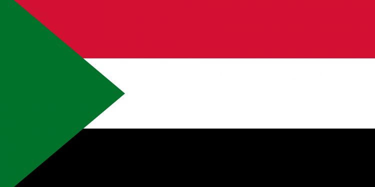 Sudan ‘cuts defence ties with North Korea’