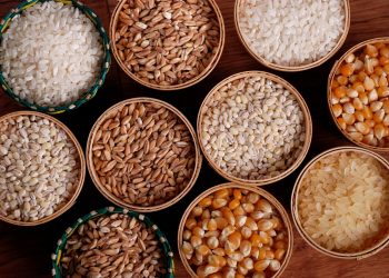 10 best foods that can boost your brain and memory