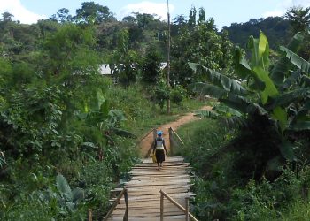 How Etwe Nim Nyansa, Kote Ye Aboa and Hwoa Ye Mmobo got their names