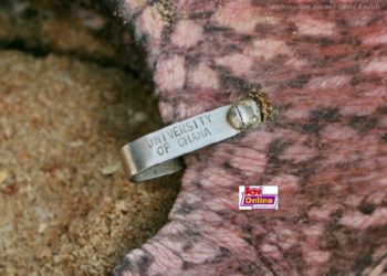 University of Ghana sea turtle released after being held ‘hostage’ in Ekumfi