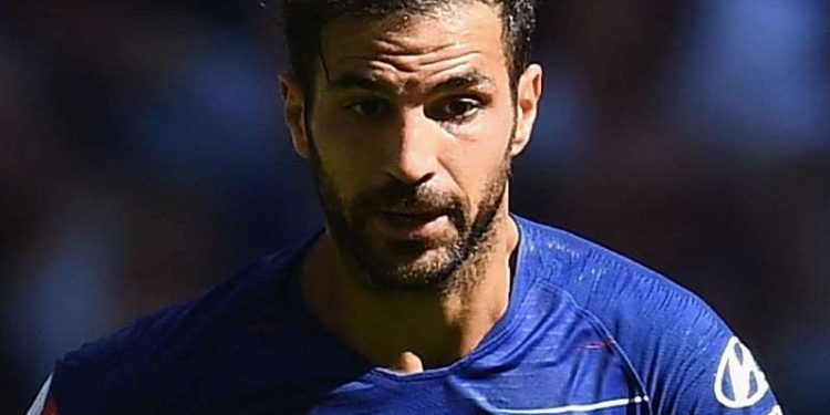 Hazard: Fabregas has given everything