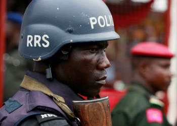 Election observer shot dead in southeast Nigeria: police