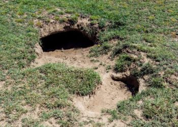 Mexican man traps himself in hole dug to spy on his ex
