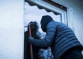 Thief abandons mission to watch couple having sex