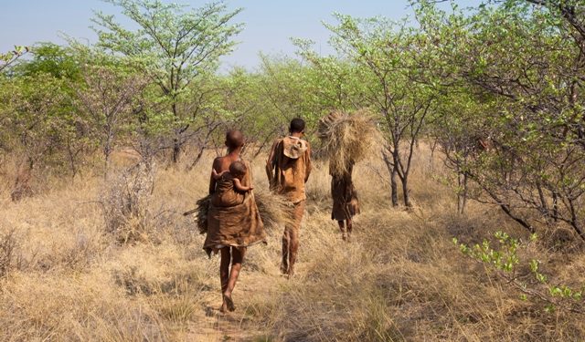 Origin of modern humans ‘traced to Botswana’