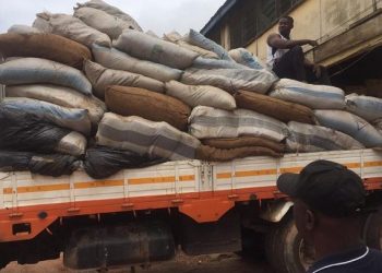 Police Burn 1,000 Bags Of Wee