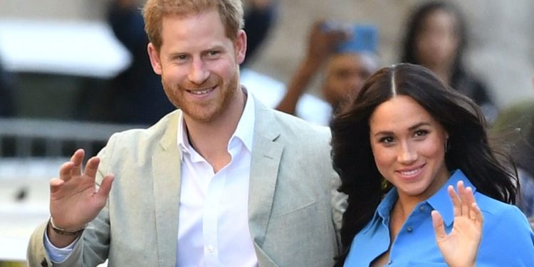 Harry and Meghan will not use HRH titles – palace