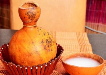 Palm wine: The health benefits of this drink will amaze you