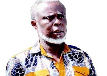 Our plan was to stage a demonstration, not a coup – Dr. MacPalm speaks