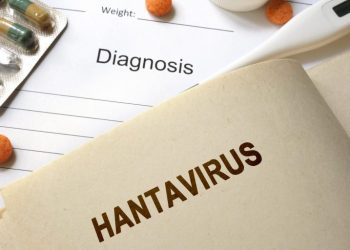 Man in China dies after testing positive for hantavirus – what exactly is it?