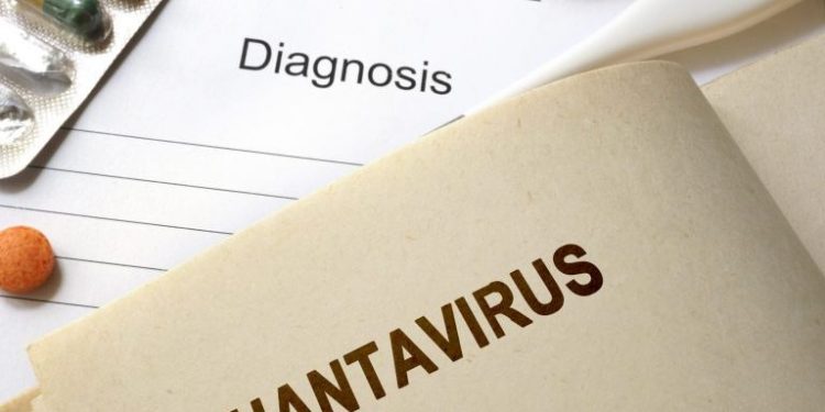 Man in China dies after testing positive for hantavirus – what exactly is it?