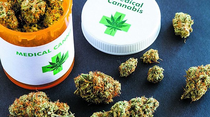 Rastafari Council applauds Parliament for legalising ganja for medical use