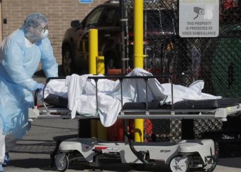 NY records 731 new coronavirus deaths in its deadliest day yet