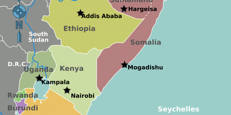 Hunger ‘could double’ in East Africa because of virus