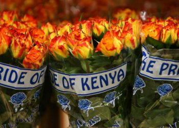 Kenyatta defends sending flowers to British health workers