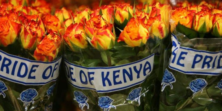 Kenyatta defends sending flowers to British health workers
