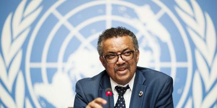 Coronavirus could kill 150,000 persons in Africa – WHO warns