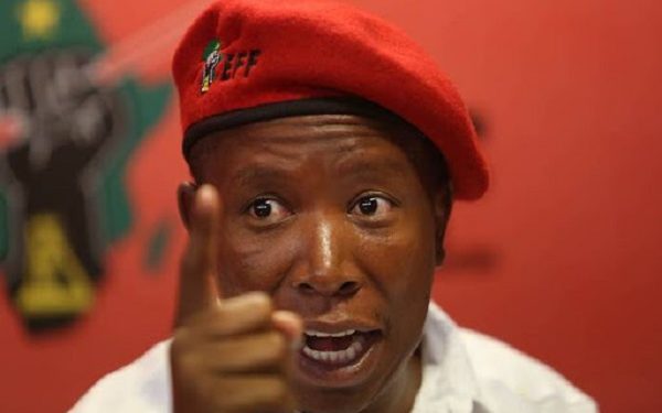 ‘Don’t go to church, you’ll die’ – Malema