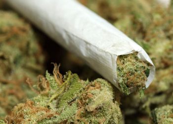 There’s no peace in prison when there is ‘wee’ shortage – Ex-convict