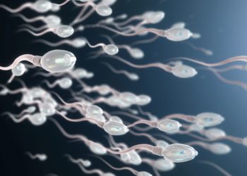 Coronavirus found in men’s semen