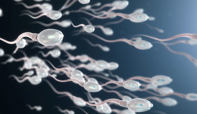 Coronavirus found in men’s semen