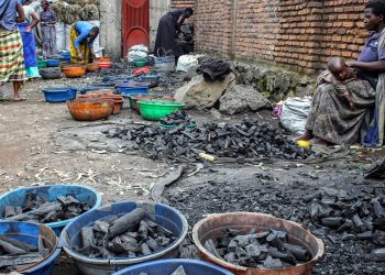 Rwanda bans charcoal for cooking in Kigali