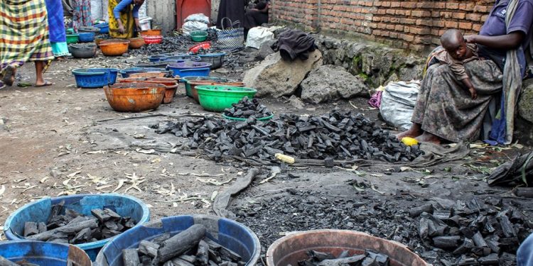 Rwanda bans charcoal for cooking in Kigali