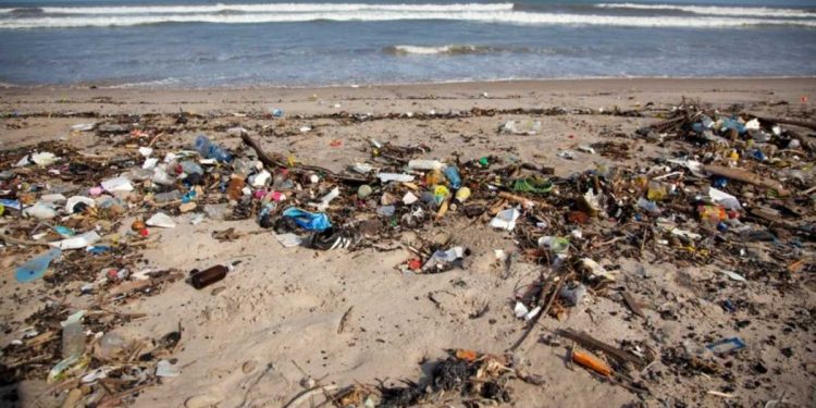 The Fight Against Filth: Waste Disposal Chain – Part 1