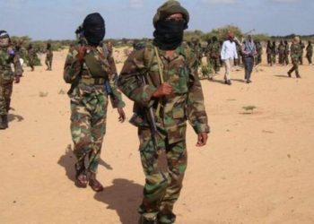 Al-Shabab ‘launches Covid-19 treatment centre’