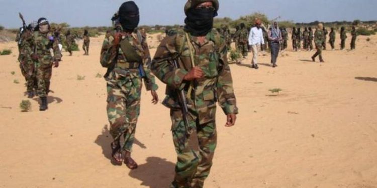 Al-Shabab ‘launches Covid-19 treatment centre’