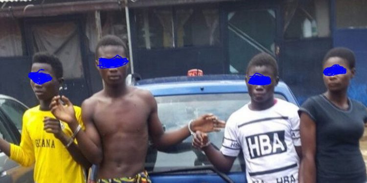 Police arrest 25 teenagers and their leader allegedly in the act of shooting pornography