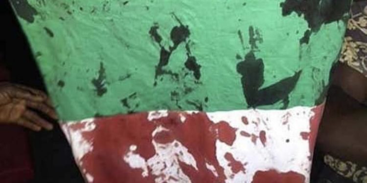 Nigeria: Protesters ‘shot dead’ in Lagos