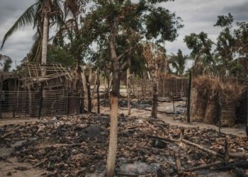 Militant Islamists ‘behead more than 50’ in Mozambique