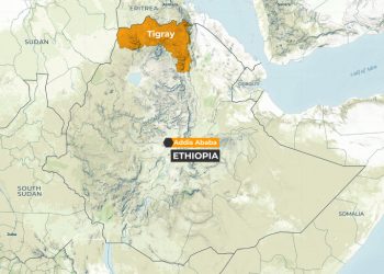 The African Union Calls for Peacemaking in Tigray-Ethiopia Conflict