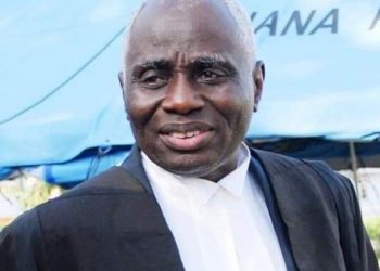 Electoral Commission cooked up figures for Akufo-Addo – Tsatsu Tsikata tells Supreme Court