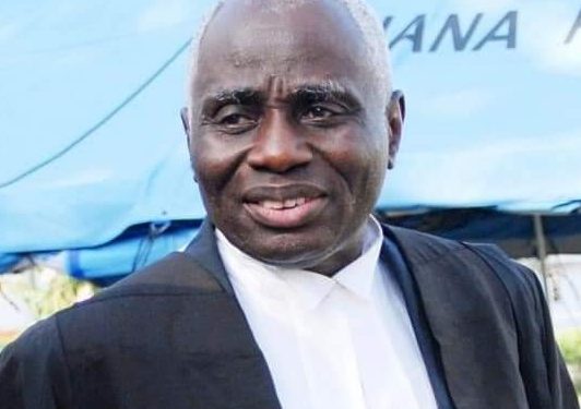 Electoral Commission cooked up figures for Akufo-Addo – Tsatsu Tsikata tells Supreme Court