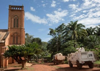 Rebels capture C.African city of Bangassou