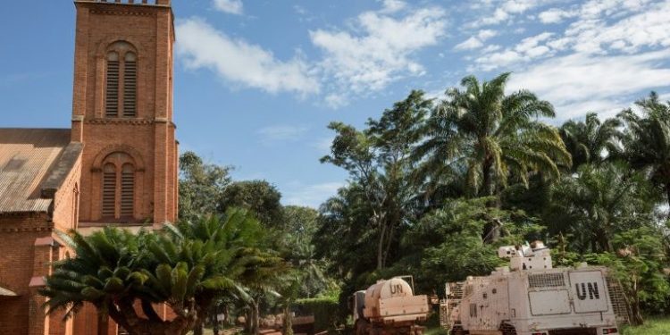 Rebels capture C.African city of Bangassou