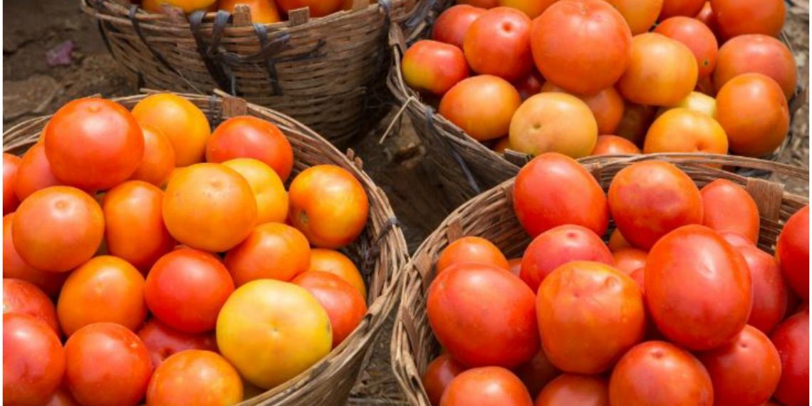Prices of tomatoes likely to go up due to strike by importers