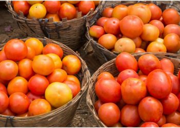 Prices of tomatoes likely to go up due to strike by importers