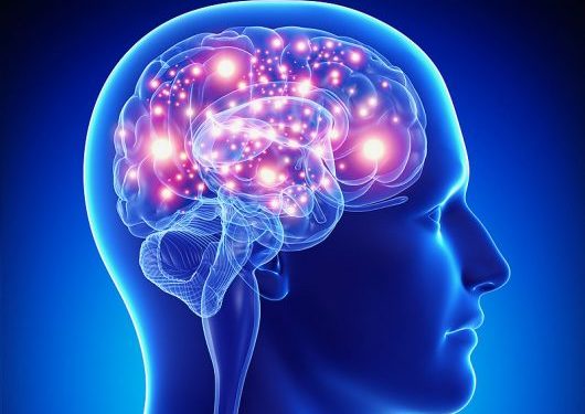 Epilepsy cases increase in Western Region