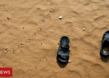 Nigeria secures release of 100 kidnapped mothers and children