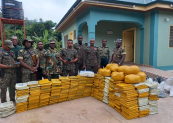 Ghana Immigration Service intercepts 607 parcels of suspected Indian hemp at Wli Todzi