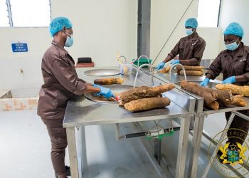 Akufo-Addo commissions GH¢10 million yam and cassava factory under 1D1F