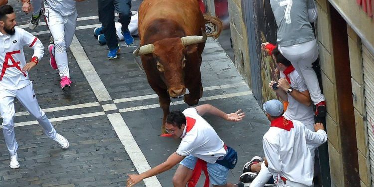 Man dies during bull-running event in Spanish city of Onda