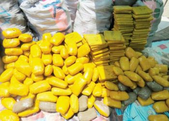 Narcotics Commission seizes about 5000kg of suspected cannabis worth ¢6.84m