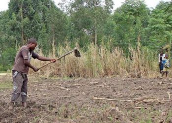 Militants abduct DR Congo farmers